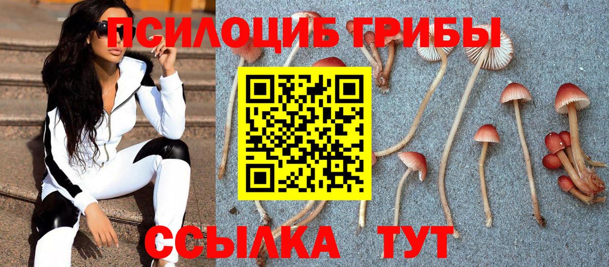 Ханты-Мансийск  Псилоцибиновые грибы прущие грибы  Галлюциногенные грибы GOLDEN TEACHER  Вход с VPN 